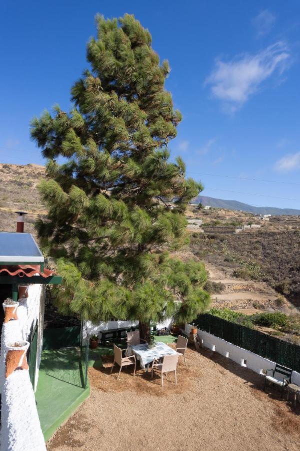 הוילה סנטה קרוז דה טנריף La Zarza Rural Experience By Sunkeyrents מראה חיצוני תמונה